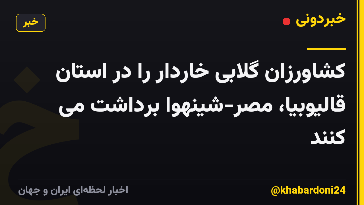 کشاورزان گلابی خاردار را در استان قالیوبیا، مصر-شینهوا برداشت می کنند
