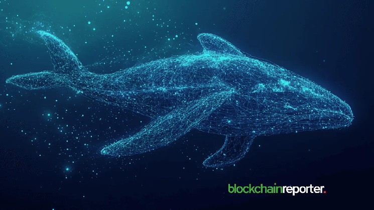 EigenLayer Whale با وجود قیمت ثابت EIGEN افزایش می یابد
