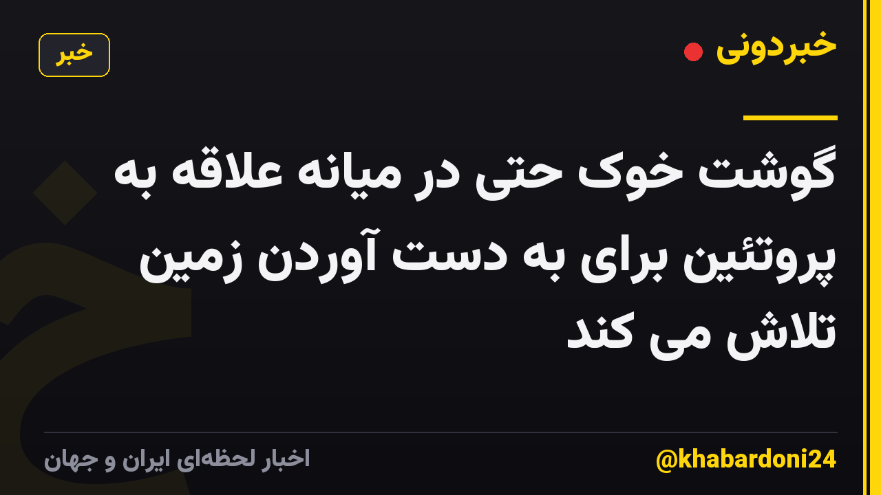 گوشت خوک حتی در میانه علاقه به پروتئین برای به دست آوردن زمین تلاش می کند