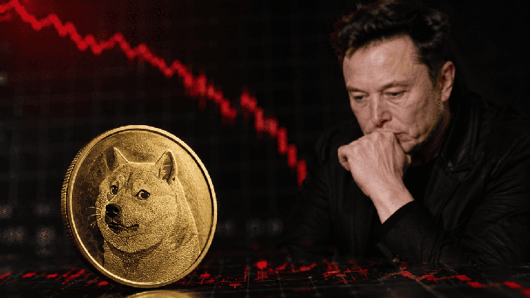 Dogecoin پس از اینکه ایلان ماسک گفت که با سیاست "فرار شده" کاهش یافت