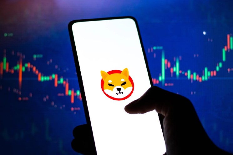 Shiba Inu Coin Whale سکوت 8 ماهه را می شکند تا بی سر و صدا SHIB را در Binance جذب کند.