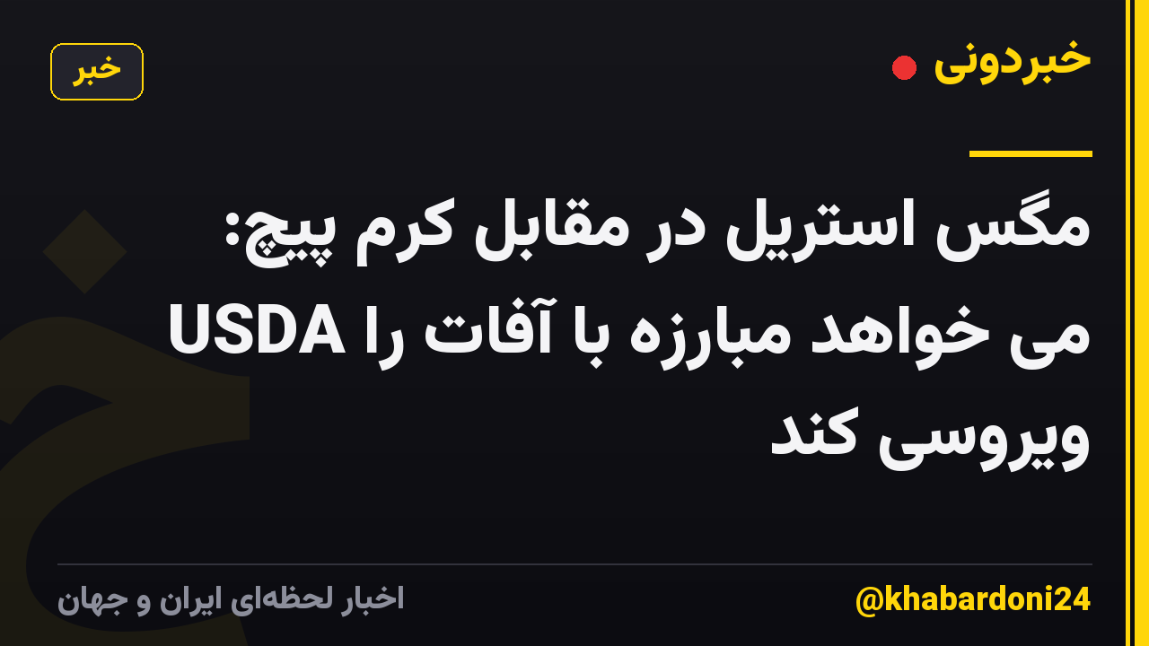 مگس استریل در مقابل کرم پیچ: USDA می خواهد مبارزه با آفات را ویروسی کند