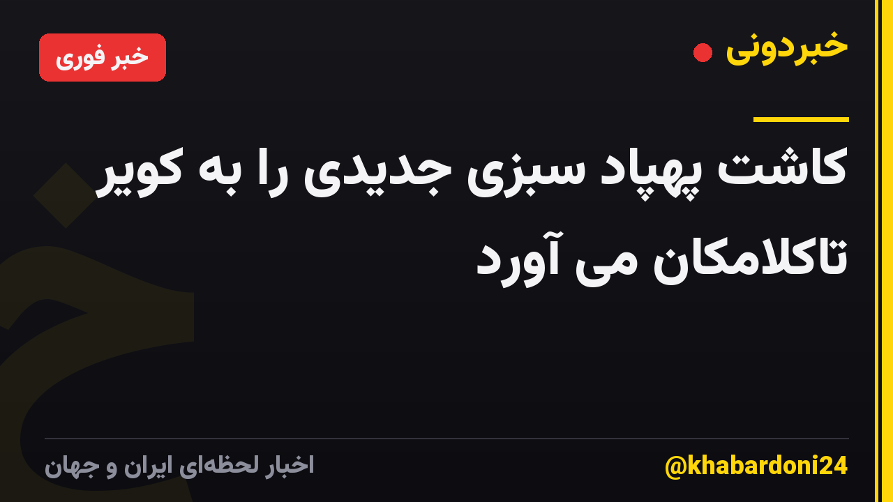 کاشت پهپاد سبزی جدیدی را به کویر تاکلامکان می آورد