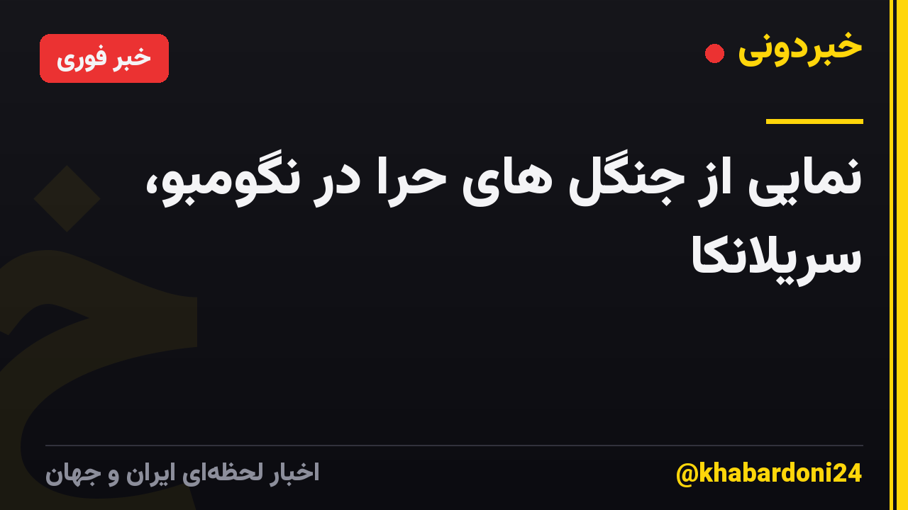 نمایی از جنگل های حرا در نگومبو، سریلانکا
