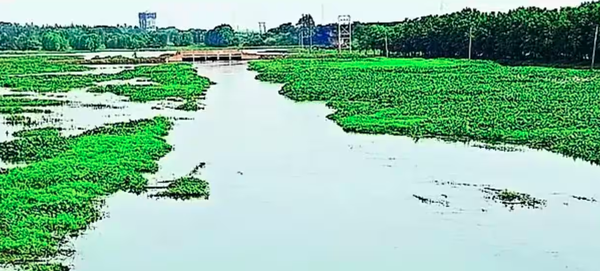 NGT به دنبال پاسخ مرکز در مورد تخریب دریاچه کانور است