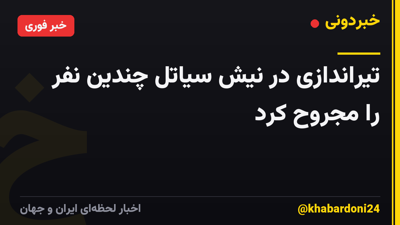 تیراندازی در نیش سیاتل چندین نفر را مجروح کرد