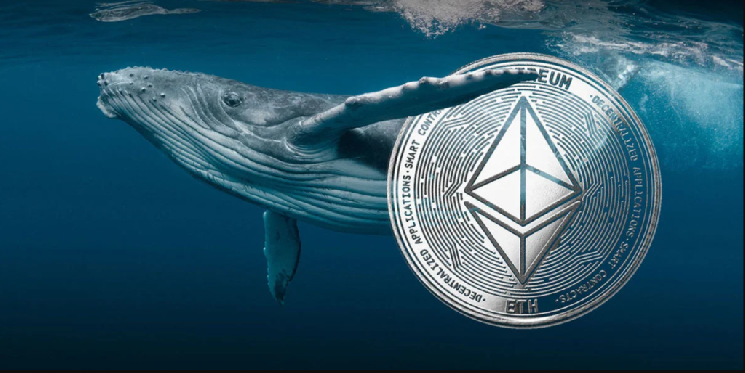 Ethereum Whale به خرید ادامه می دهد، خریدهای بزرگی از این سکه در کنار ETH انجام داد! در اینجا جزئیات هستند
