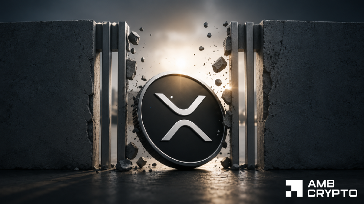 XRP با مثبت شدن ETF ها، راه اندازی رالی 2024 را بازتاب می دهد: گاوها و خرس ها برای کنترل می جنگند