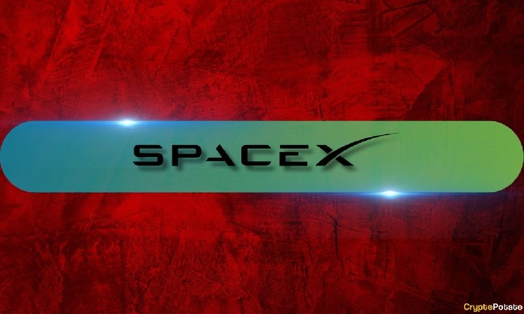 چرا سهام SpaceX (SPCX) از زمان اوج خود در ژوئن تقریباً 50٪ سقوط کرده است؟