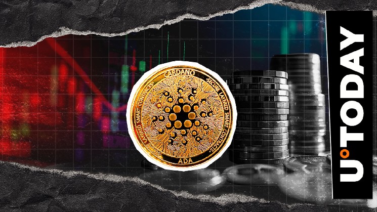 کاهش 1917.11 درصدی جریان های نقطه ای Cardano در چند ساعت، سیگنال بازار؟