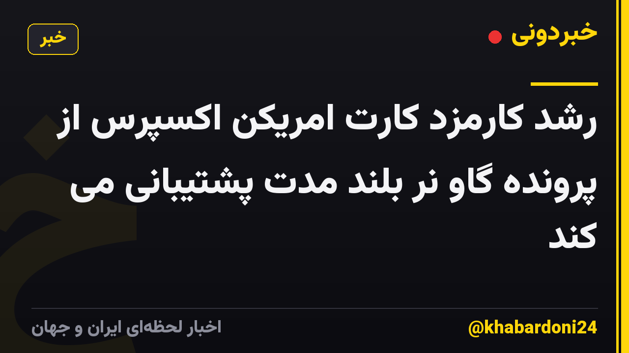 رشد کارمزد کارت امریکن اکسپرس از پرونده گاو نر بلند مدت پشتیبانی می کند