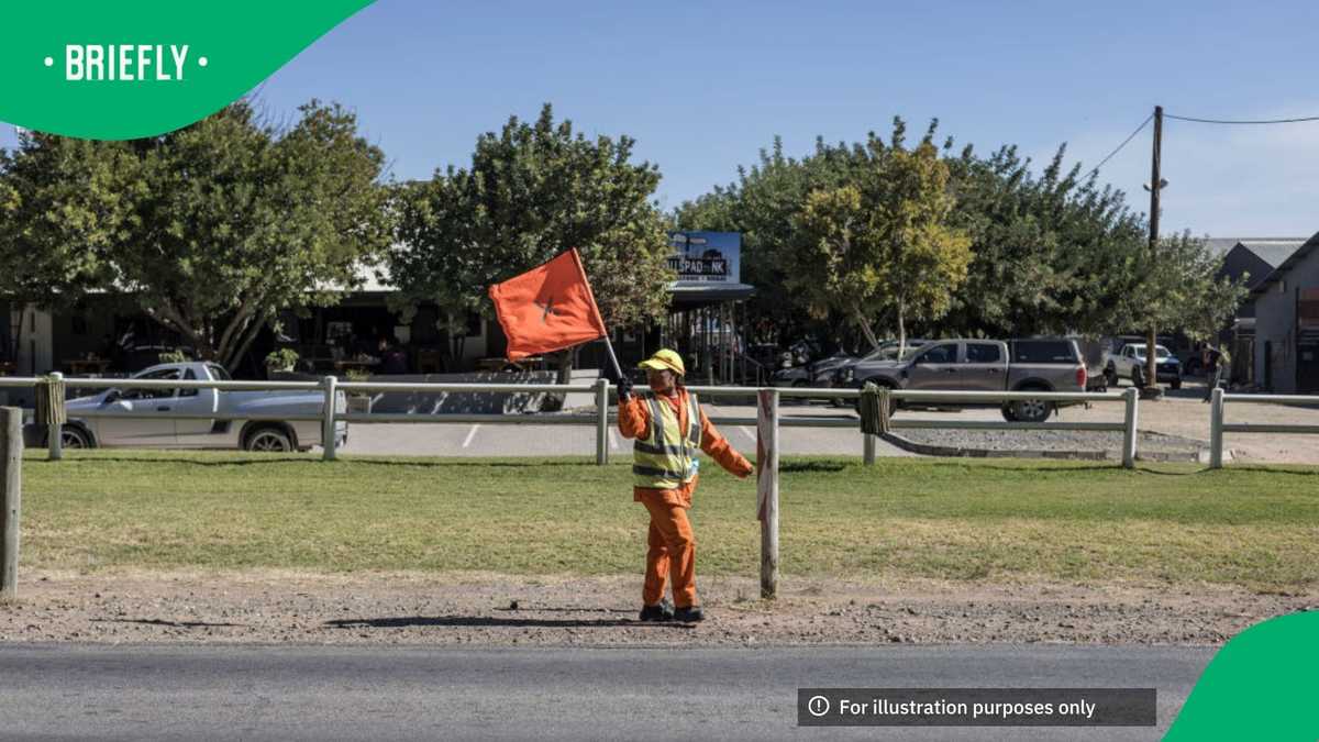 دمانا منافع شخصی را انکار می کند: مناقصه 9.5 میلیارد روپیه در میان بررسی دقیق لغو شد