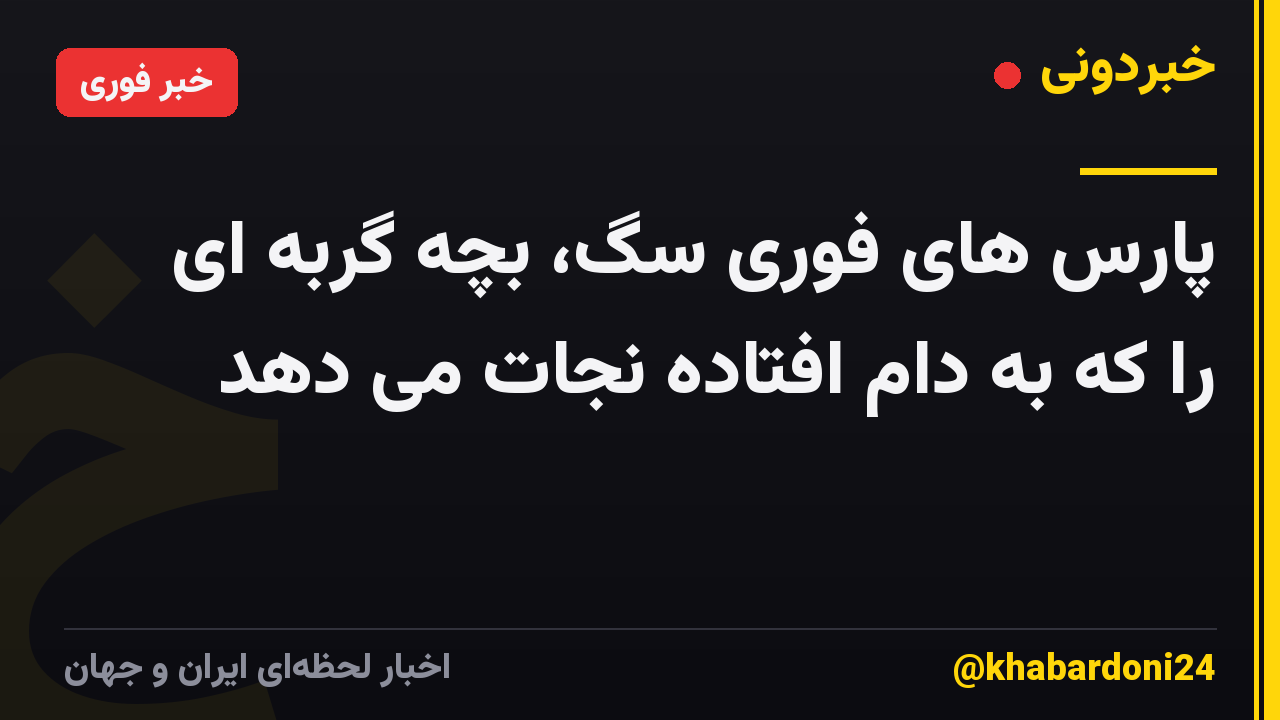 پارس های فوری سگ، بچه گربه ای را که به دام افتاده نجات می دهد
