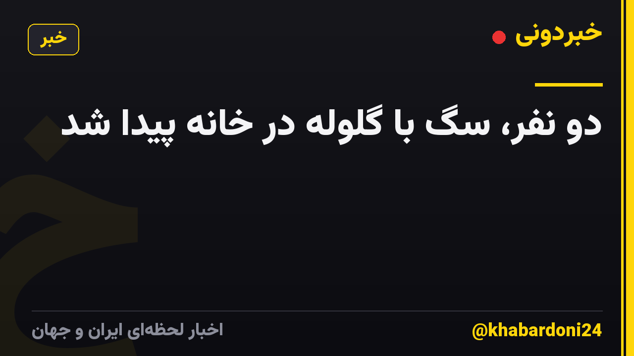 دو نفر، سگ با گلوله در خانه پیدا شد