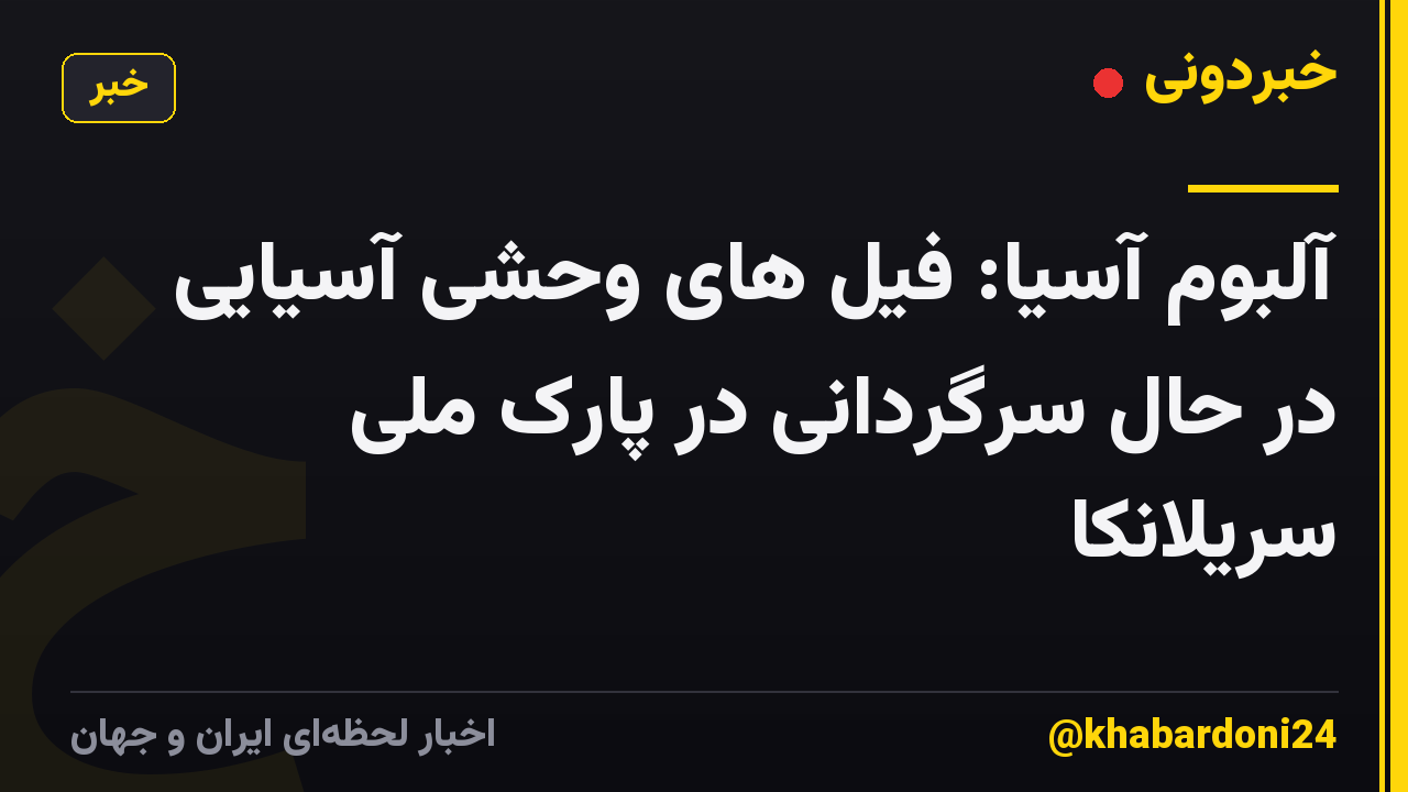 آلبوم آسیا: فیل های وحشی آسیایی در حال سرگردانی در پارک ملی سریلانکا