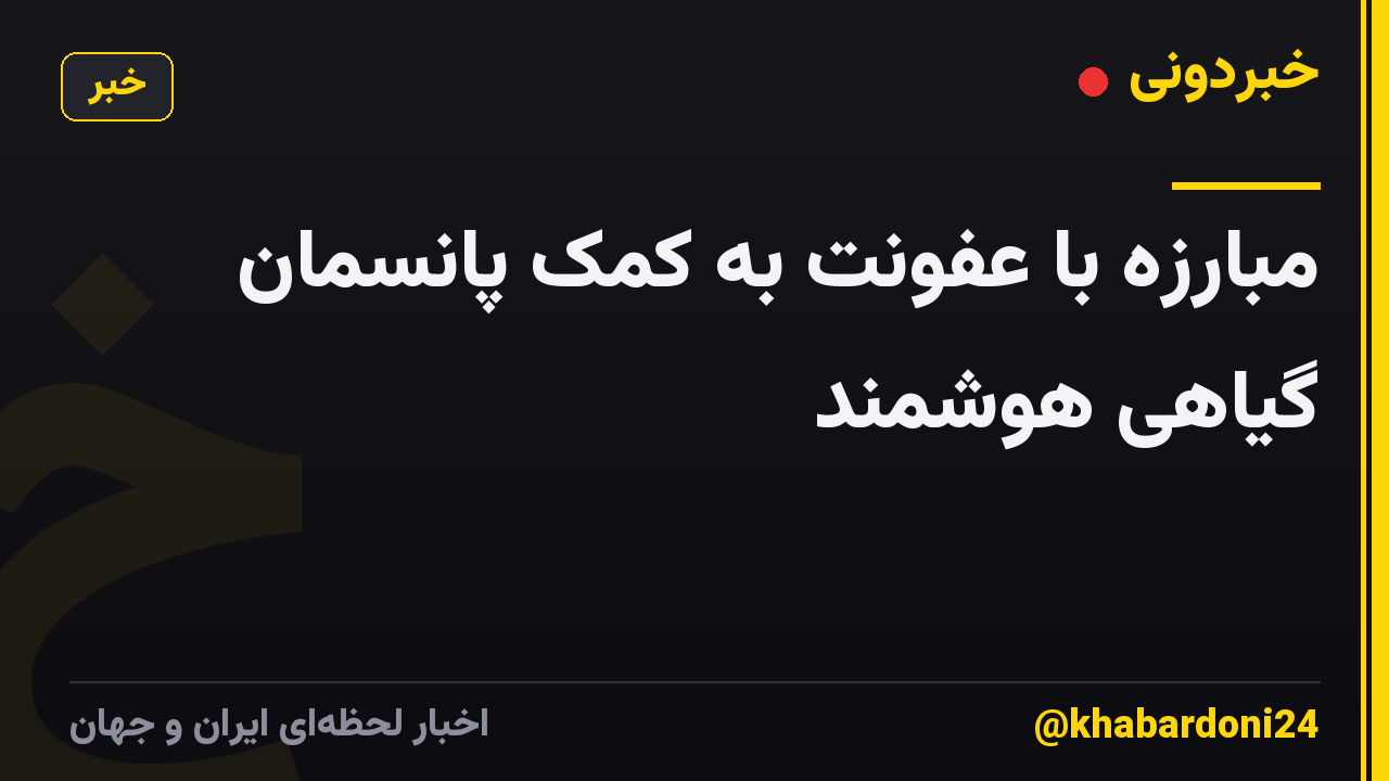 مبارزه با عفونت به کمک پانسمان گیاهی هوشمند