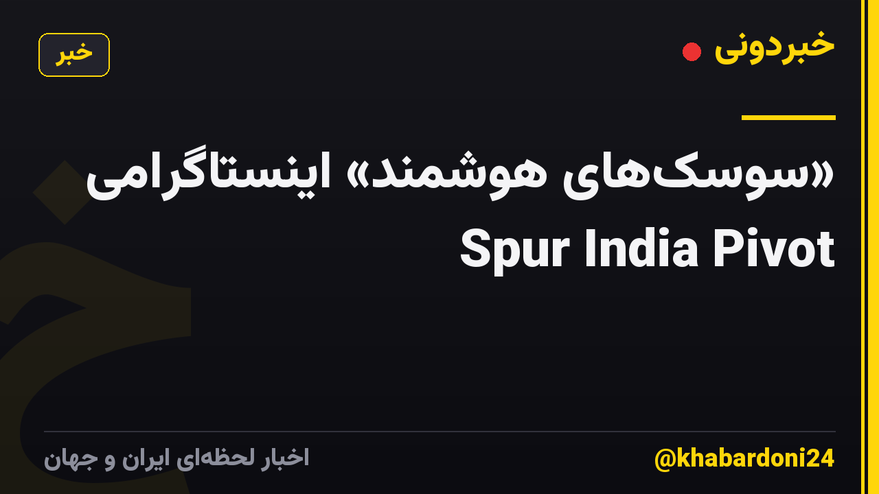 «سوسکهای هوشمند» اینستاگرامی Spur India Pivot
