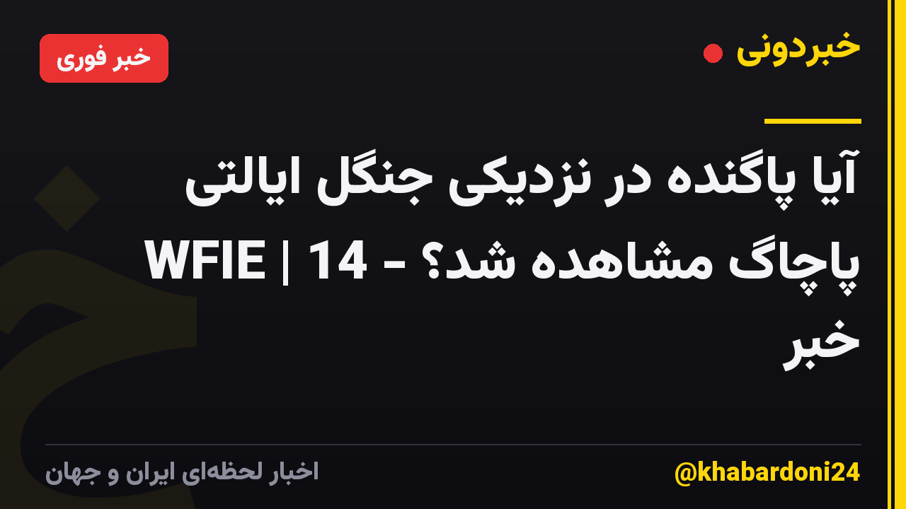 آیا پاگنده در نزدیکی جنگل ایالتی پاچاگ مشاهده شد؟ - WFIE | 14 خبر