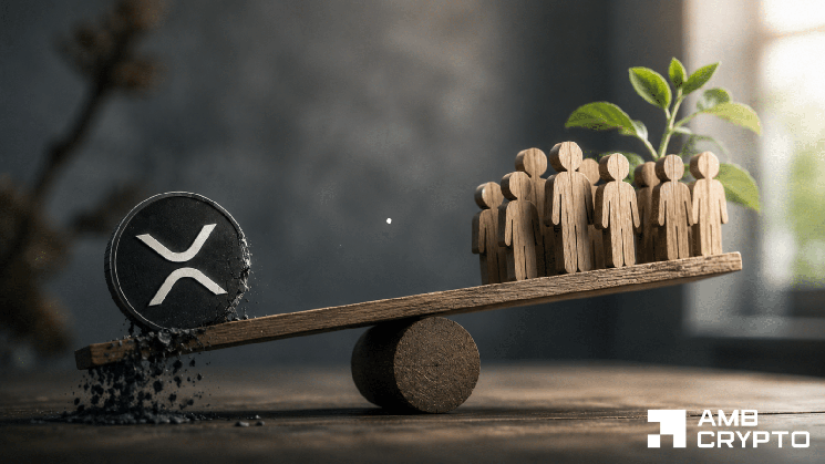 XRP در سال 2026 489 هزار حساب اضافه می کند - افزایش شبکه XRPL