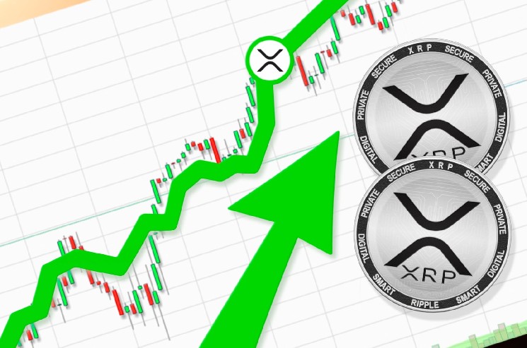 Four Years of Red: چرا XRP در اوت امسال شانس افزایشی دارد