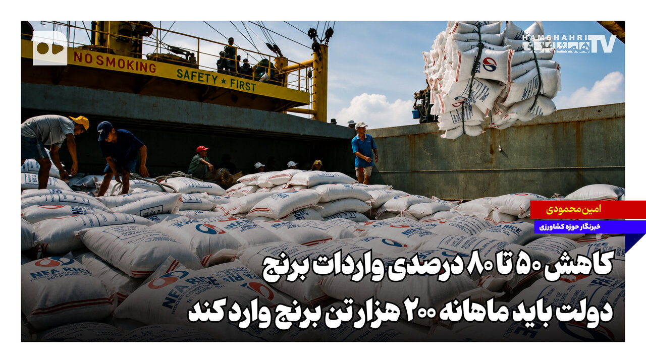 کاهش ۵۰ تا ۸۰ درصدی واردات برنج؛ دولت باید ماهانه ۲۰۰ هزار تن برنج وارد کند
