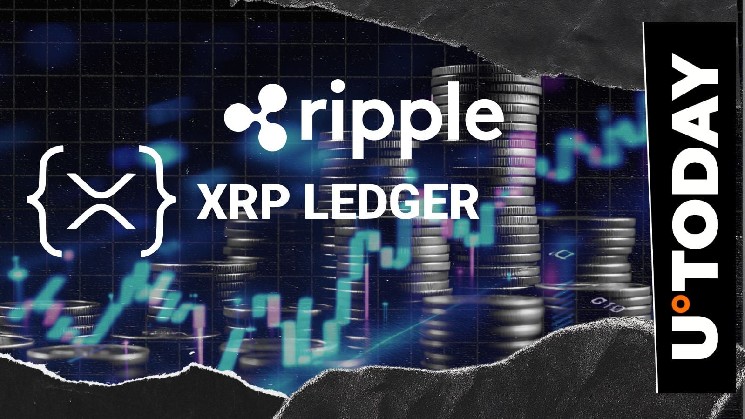 کلاهبرداری با اعلام ریپل توسط مدیر بنیاد XRPL پرچمگذاری شد، هشدار مشکلات