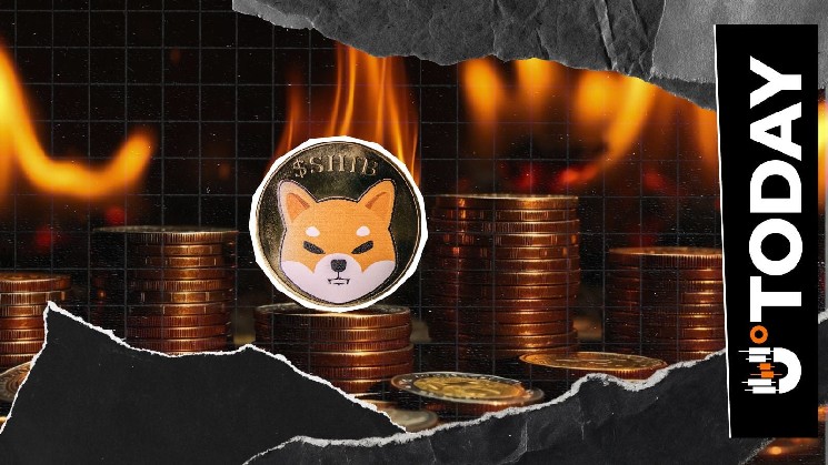 نرخ سوختگی Shiba Inu 405٪ با 124,023,282 SHIB نابود شد
