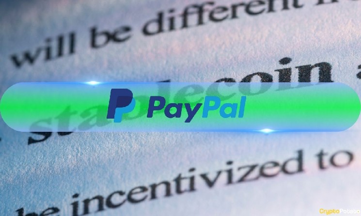 PayPal پس از افشای نتایج Q2، روی استیبل کوین ها شرط بندی بزرگی کرد