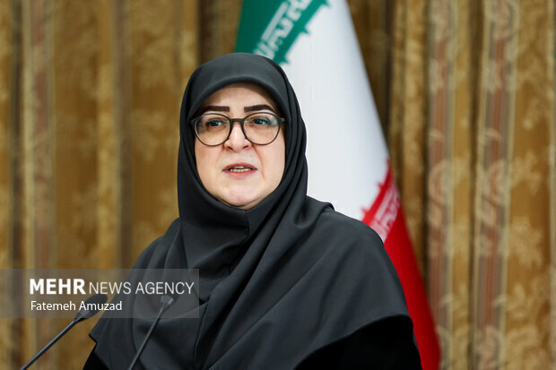 سخنگوی دولت وارد ایلام شد