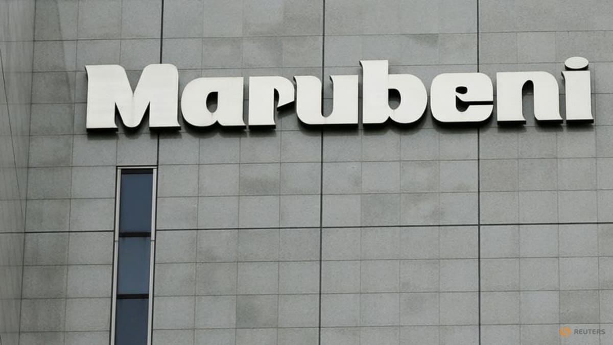 Marubeni سرمایه گذاری را افزایش می دهد، سهامداران پس از درآمدهای قوی بازده دارند