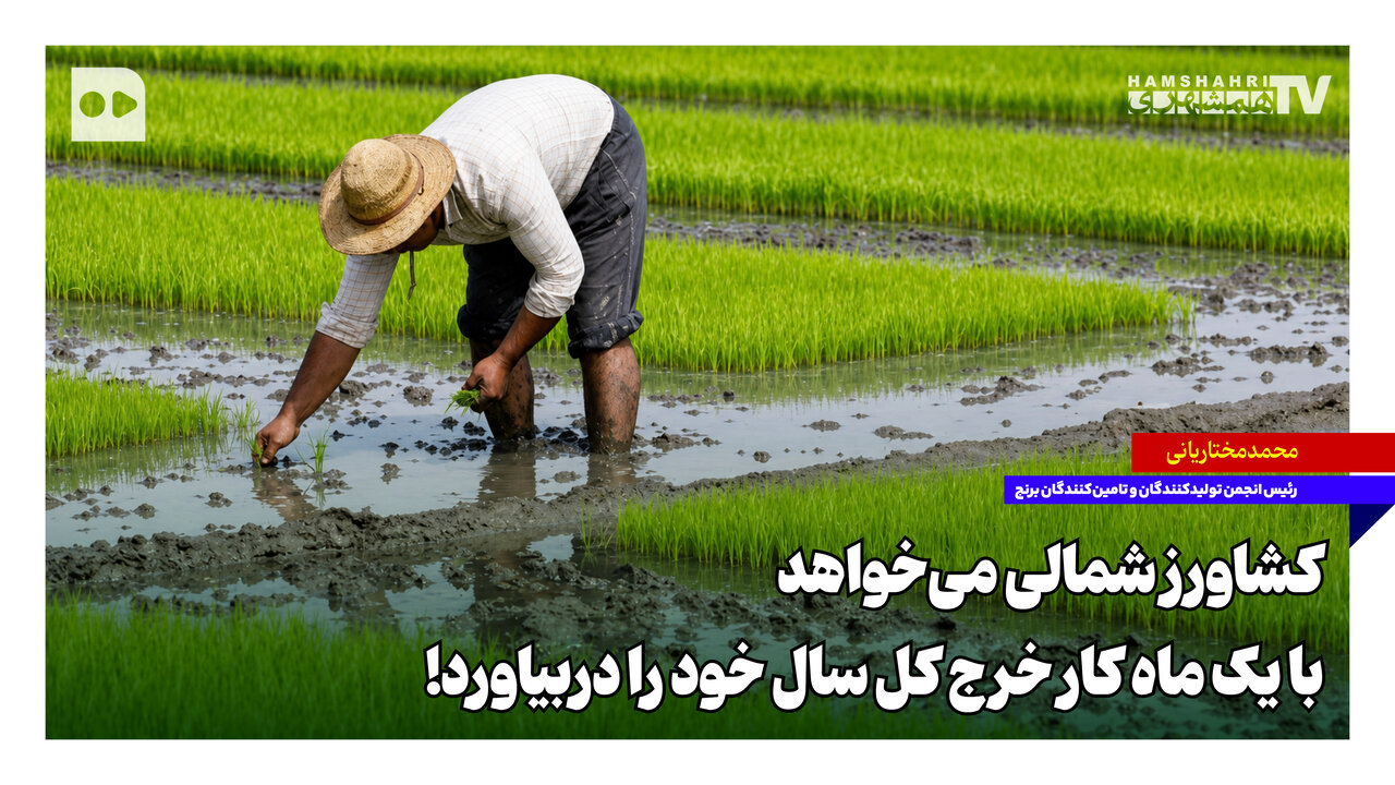 کشاورز شمالی میخواهد با یک ماه کار خرج کل سال خود را دربیاورد