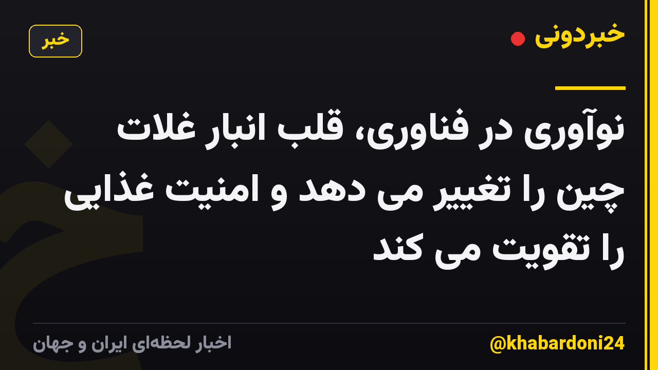 نوآوری در فناوری، قلب انبار غلات چین را تغییر می دهد و امنیت غذایی را تقویت می کند