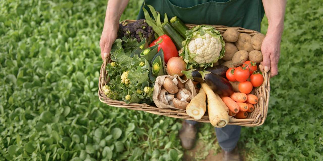 این وزارتخانه می گوید که قیمت مواد غذایی در سراسر قرقیزستان و بازارهای همسایه کاهش می یابد
