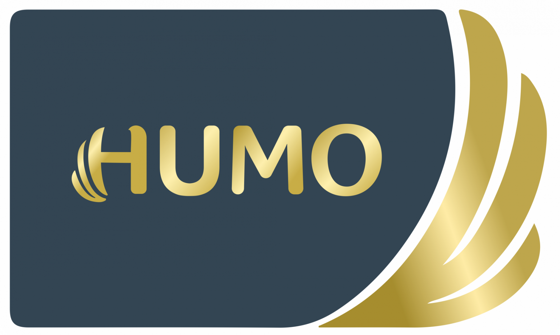 شرکت Humo ازبکستان پس از خصوصی سازی سود یک ساعته را سه برابر کرد