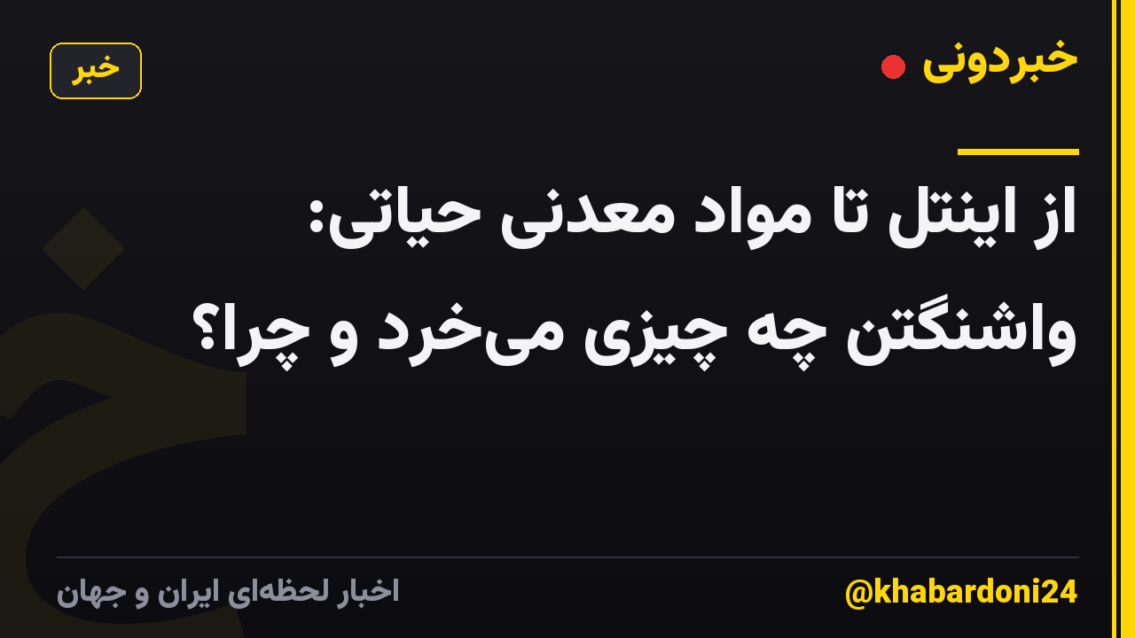 از اینتل تا مواد معدنی حیاتی: واشنگتن چه چیزی میخرد و چرا؟