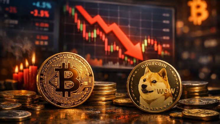بیلی مارکوس از Dogecoin یک واکنش یک کلمه ای به تماس های تازه بیت کوین Bear نشان می دهد