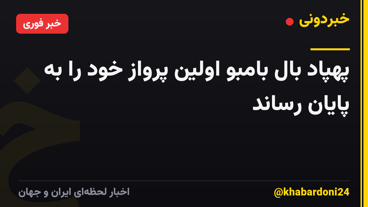 پهپاد بال بامبو اولین پرواز خود را به پایان رساند