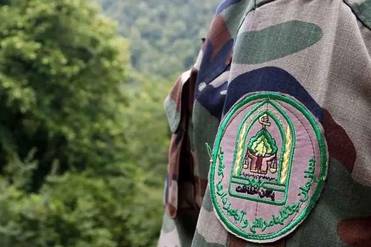 حمله قاچاقچی چوب با تبر به جنگلبان چالوس