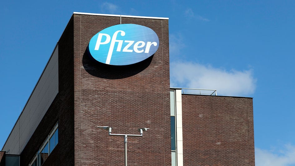 Pfizer Ducks به فالوت کووید ادامه داد و چاقی سختگیرانه ظاهر شد