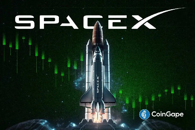 برنشتاین می گوید نتایج فصلنامه SpaceX کمتر از استراتژی هوش مصنوعی اهمیت دارد