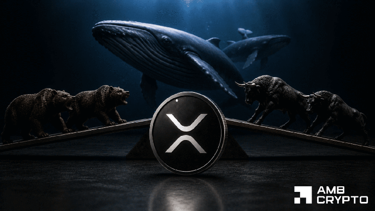 نهنگهای XRP 55 درصد از برداشتهای بایننس را انجام میدهند – آیا طبقه 1 دلار ایمن است؟