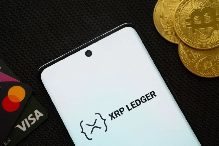 دیوید بچیری، رئیس XRPL Commons می گوید که طراحی متضاد XRP Ledger مزیت رقابتی آن است.