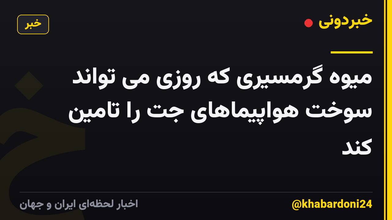 میوه گرمسیری که روزی می تواند سوخت هواپیماهای جت را تامین کند