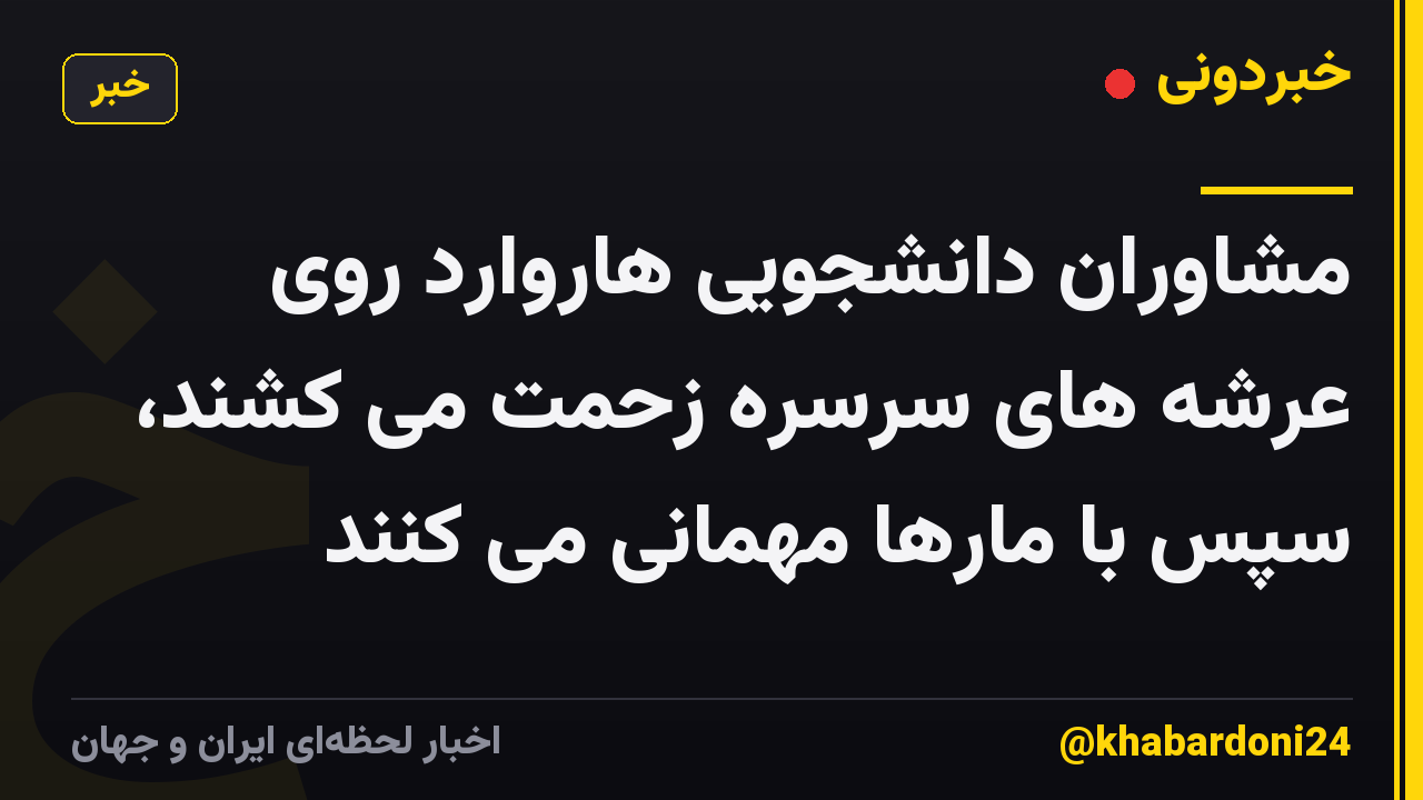 مشاوران دانشجویی هاروارد روی عرشه های سرسره زحمت می کشند، سپس با مارها مهمانی می کنند