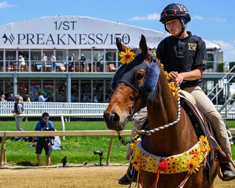 تاریخ انتقال Preakness Stakes به چهارمین یکشنبه ماه می