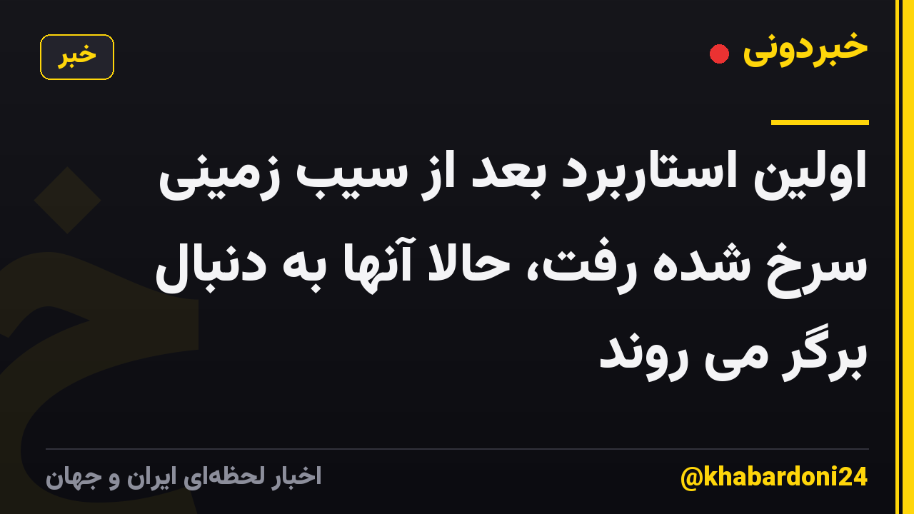 اولین استاربرد بعد از سیب زمینی سرخ شده رفت، حالا آنها به دنبال برگر می روند