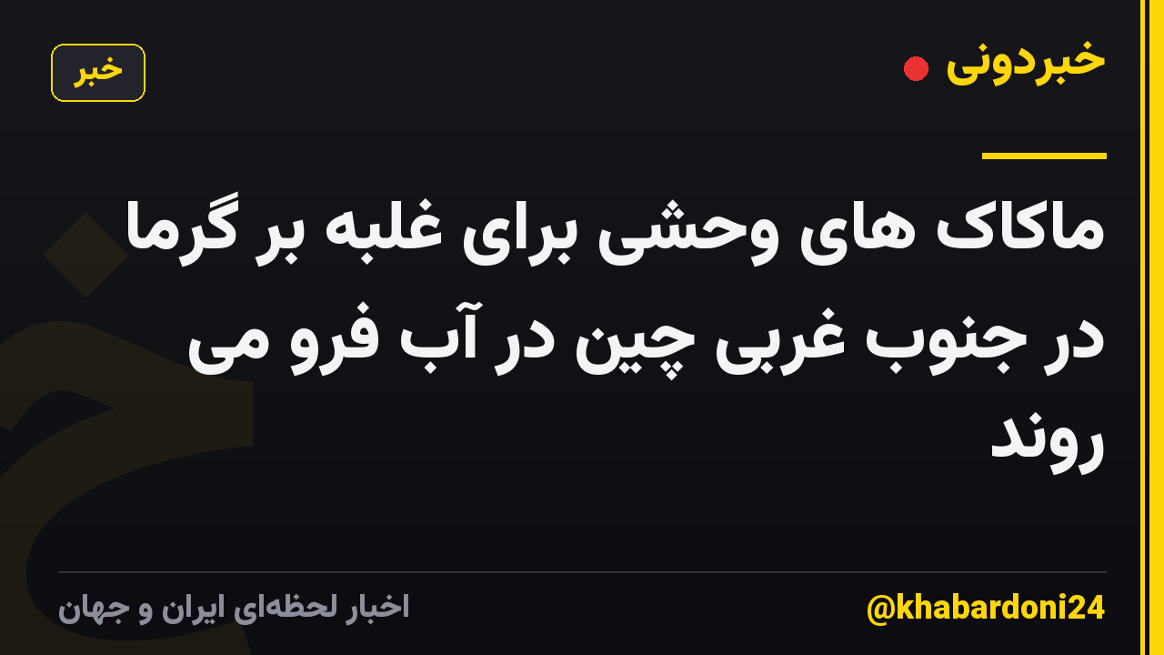 ماکاک های وحشی برای غلبه بر گرما در جنوب غربی چین در آب فرو می روند
