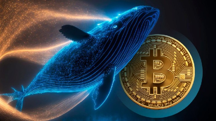 CryptoQuant: نهنگ های بیت کوین، اتریوم و XRP در حال خرید هستند، ممکن است بازار خرس به مرحله نهایی خود نزدیک شود!
