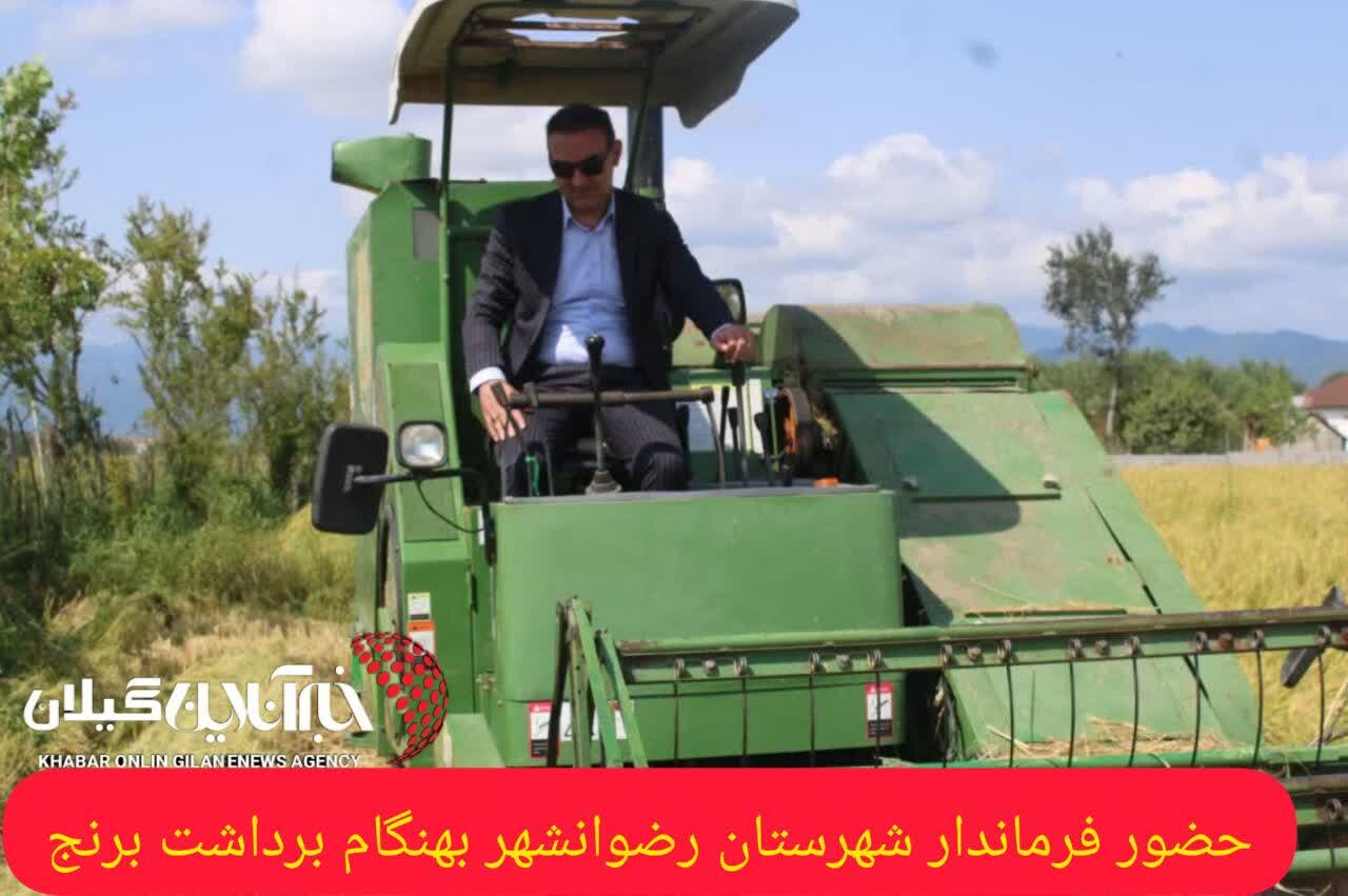 فرماندار رضوانشهر: پیشبینی برداشت ۴۵ هزار تن شلتوک از شالیزارهای شهرستان