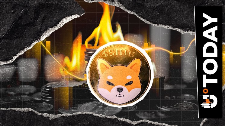 فقط 7 دلار در SHIB سوخته است؟ میزان سوختگی Shiba Inu باعث برگشت غیرمنتظره می شود